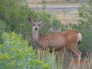 photo thumbnail #12