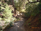 photo thumbnail #5