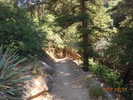 photo thumbnail #7
