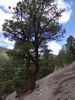photo thumbnail #10