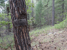 photo thumbnail #11