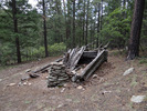 photo thumbnail #12