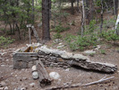 photo thumbnail #13
