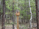photo thumbnail #14