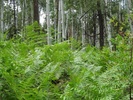 photo thumbnail #10