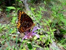 photo thumbnail #13