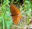 photo thumbnail #14