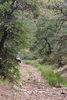 photo thumbnail #3