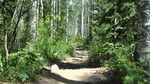 photo thumbnail #4
