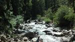 photo thumbnail #15