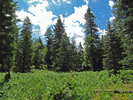 photo thumbnail #10