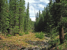 photo thumbnail #5