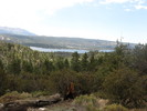 photo thumbnail #5