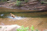 photo thumbnail #12