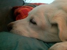 photo thumbnail #15