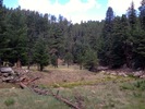 photo thumbnail #3
