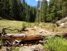photo thumbnail #4