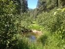 photo thumbnail #8