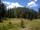 photo thumbnail #9
