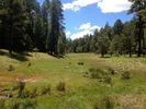 photo thumbnail #11