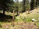 photo thumbnail #12