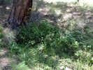 photo thumbnail #13