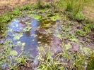 photo thumbnail #14
