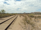 photo thumbnail #2