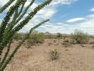 photo thumbnail #4