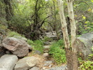 photo thumbnail #3