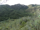 photo thumbnail #5