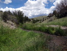 photo thumbnail #13