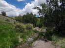 photo thumbnail #14
