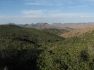 photo thumbnail #1