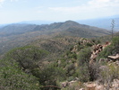 photo thumbnail #2