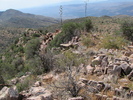 photo thumbnail #3