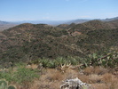 photo thumbnail #4