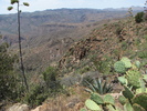 photo thumbnail #5