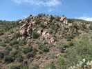 photo thumbnail #5