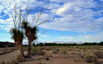 2012-06-24 :2: Freeman Flat :: SkyIslander18