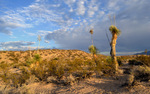 2012-06-24 :2: Freeman Flat :: SkyIslander18