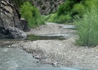 photo thumbnail #8