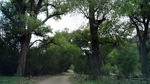 photo thumbnail #11