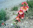 Featured Detail Photo