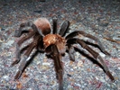 photo thumbnail #3