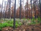photo thumbnail #4