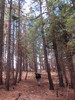 photo thumbnail #6