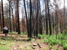 photo thumbnail #8
