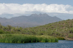 photo thumbnail #8