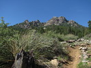 photo thumbnail #1